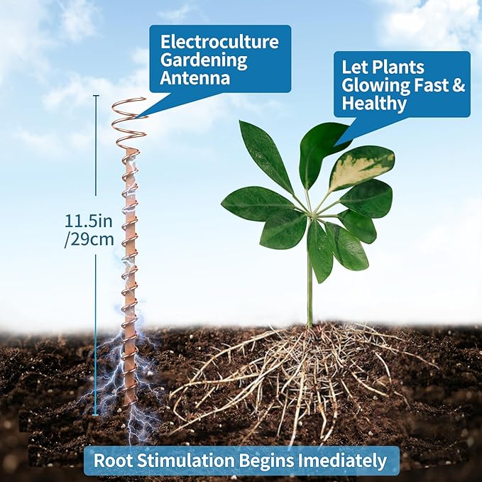 Electroculture Plant Stakes, 6 Pack 11.5" Long Copper Garden Stakes